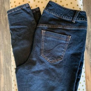 Lane Bryant Skinny Jeans